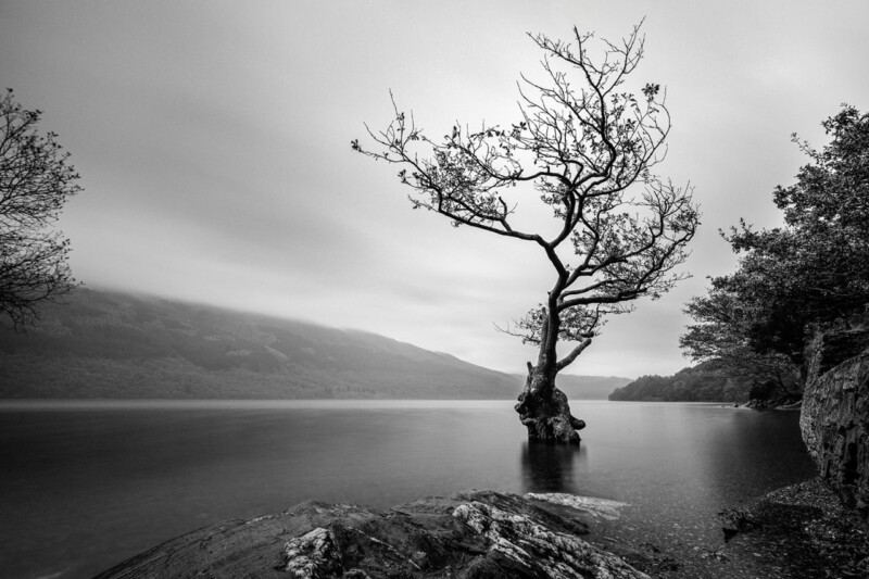 Image of Exiled Grace by Noel Fenech Photography